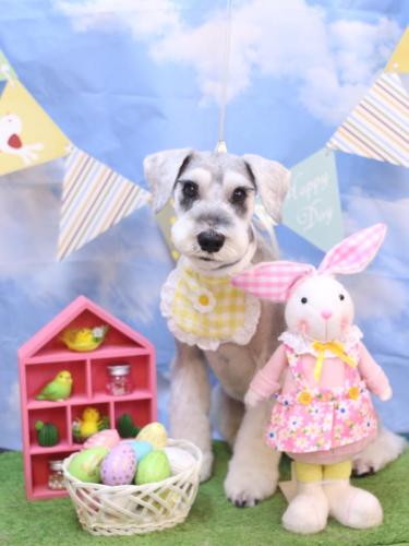 20240316りくくん